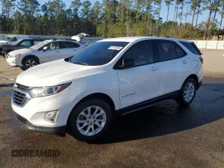 2019 Chevrolet Equinox LS with VIN 3GNAXHEV7KS557476, listed as a Copart auction lot 88718965 with 81,794 mi miles and Salvage Title. Bid and sale history available at carsss.com. Image 1.