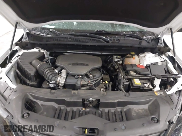 2022 Chevrolet Blazer LT with VIN 3GNKBJRS0NS180956, listed as a IAAI auction lot 41734343 with 66,226 mi miles and . Bid and sale history available at DreamBid. Image 10.