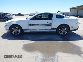 2012 Ford Mustang Premium with VIN 1ZVBP8AM2C5255855, listed as a IAAI auction lot 41812764 with 242,676 mi miles and . Bid and sale history available at DreamBid. Image 6.