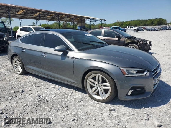 2019 Audi A5 Sportback Premium with VIN WAUANCF55KA051157, listed as a Copart auction lot 52394025 with 114,213 mi miles and Clean Title. Bid and sale history available at carsss.com. Image 4.