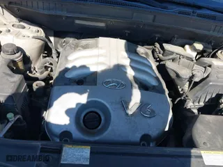 2007 Hyundai Veracruz GLS with VIN KM8NU13C37U022627, listed as a IAAI auction lot 41604978 with 239,248 mi miles. Bid and sale history available at carsss.com. Image 10.