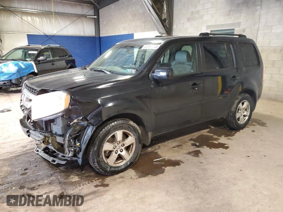 2009 Honda Pilot EX-L with VIN 5FNYF48519B017526, listed as a Copart auction lot 52341745 with 130,619 mi miles and Salvage Title. Bid and sale history available at carsss.com. Image 1.