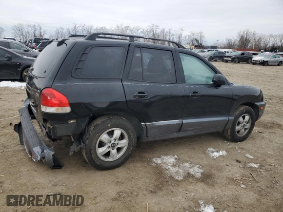 2005 Hyundai Santa Fe GLS with VIN KM8SC13E65U917940, listed as a Copart auction lot 41677315 with 116,335 mi miles and Salvage Title. Bid and sale history available at carsss.com. Image 3.