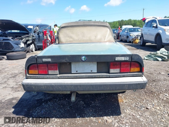 1983 Alfa Romeo Spider Veloce z VIN ZARBA5411D1016042, wystawiony jako IAAI lot #42214912 z przebiegiem 51 581 mil mil oraz . Historia ofert i sprzedaży dostępna na DreamBid. Obrazek 16.