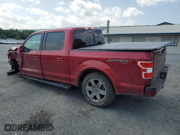 2019 Ford F-150 XL with VIN 1FTEW1EP0KFB14211, listed as a Copart auction lot 60712585 with 92,013 mi miles and Salvage title. Bid and sale history available at DreamBid. Image 2.