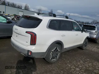 2024 Kia Telluride EX with VIN 5XYP3DGC2RG451676, listed as a Copart auction lot 46161785 with 19,793 mi miles and Salvage Title. Bid and sale history available at carsss.com. Image 3.