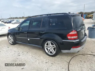 2009 Mercedes-Benz GL-Class 4.6L with VIN 4JGBF71E79A507054, listed as a Copart auction lot 74093574 with 0 mi miles and Non Repairable. Bid and sale history available at carsss.com. Image 2.