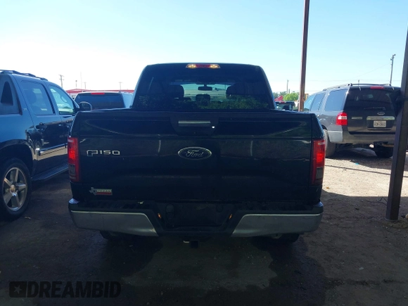 2017 Ford F-150 XL with VIN 1FTEW1EF7HKD69736, listed as a IAAI auction lot 42079427 with 192,236 mi miles. Bid and sale history available at carsss.com. Image 16.