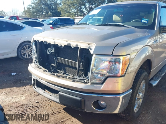 2011 Ford F-150 XL with VIN 1FTEX1CMXBFA24456, listed as a IAAI auction lot 41646554 with 156,076 mi miles. Bid and sale history available at carsss.com. Image 6.