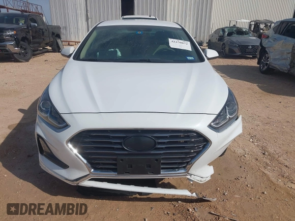 2018 Hyundai Sonata SE z VIN 5NPE24AF0JH704634, wystawiony jako IAAI lot #42250872 z przebiegiem 47 333 mil mil oraz . Historia ofert i sprzedaży dostępna na DreamBid. Obrazek 12.