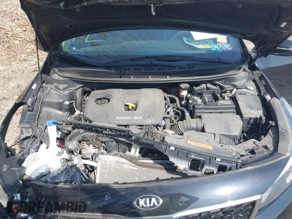 2018 Kia Forte LX with VIN 3KPFL4A78JE217888, listed as a IAAI auction lot 42027867 with 37,615 mi miles and . Bid and sale history available at DreamBid. Image 10.