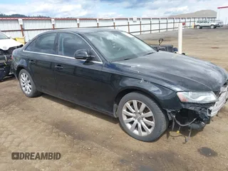 2009 Audi A4 Premium Plus с VIN WAUSF78K19N031454, выставлен на аукционе IAAI как лот 42257149 с пробегом 129 702 миль миль и . История ставок и продаж доступна на DreamBid. Изображение 1.