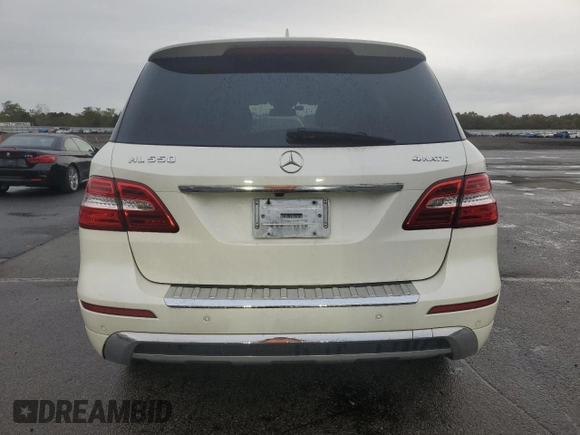 2014 Mercedes-Benz M 550 with VIN 4JGDA7DB2EA290211, listed as a Copart auction lot 73809494 with 123,983 mi miles and Clean Title. Bid and sale history available at DreamBid. Image 6.