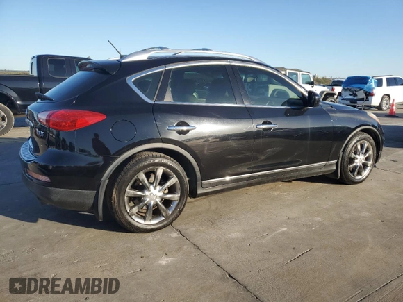 2010 Infiniti EX Journey with VIN JN1AJ0HP2AM700599, listed as a Copart auction lot 79760144 with Not Provided miles and Clean Title. Bid and sale history available at DreamBid. Image 3.