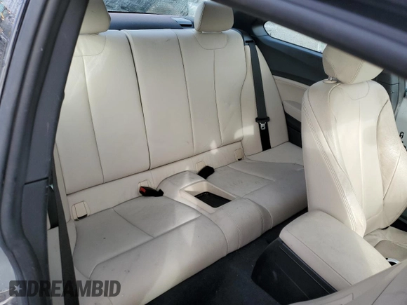 2017 BMW 2 Series 230i with VIN WBA2F9C34HV664704, listed as a Copart auction lot 45347985 with 46,097 mi miles and Salvage title. Bid and sale history available at DreamBid. Image 10.