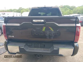 2024 Toyota Tundra 1794 Edition with VIN 5TFMA5DB5RX145336, listed as a IAAI auction lot 42203766 with 16,781 mi miles and . Bid and sale history available at DreamBid. Image 16.
