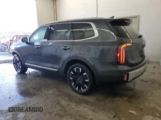 2024 Kia Telluride SX X-Line with VIN 5XYP5DGC8RG419163, listed as a Copart auction lot 48467455 with 31,089 mi miles and Salvage Title. Bid and sale history available at carsss.com. Image 2.