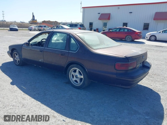 1996 Chevrolet Caprice 1SA Special Value with VIN 1G1BL52P9TR184810, listed as a IAAI auction lot 41831242 with Not provided miles and . Bid and sale history available at DreamBid. Image 3.