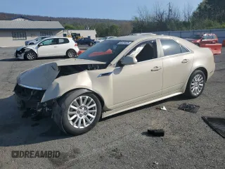 2011 Cadillac CTS with VIN 1G6DC5EY6B0141925, listed as a Copart auction lot 54479025 with Not Provided miles and Salvage Title. Bid and sale history available at DreamBid. Image 1.