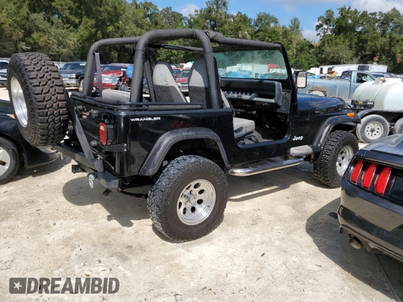 1995 Jeep Wrangler with VIN 1J4FY29SXSP230216, listed as a Copart auction lot 77257834 with 144,217 mi miles and Salvage Title. Bid and sale history available at carsss.com. Image 3.