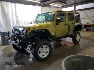 2007 Jeep Wrangler Unlimited X with VIN 1J4GA39187L190061, listed as a Copart auction lot 52420685 with 217,346 mi miles and Salvage Title. Bid and sale history available at DreamBid. Image 1.