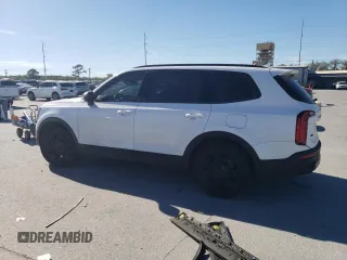 2021 Kia Telluride EX with VIN 5XYP3DHC3MG136781, listed as a Copart auction lot 47560575 with 59,247 mi miles and Salvage Title. Bid and sale history available at DreamBid. Image 2.