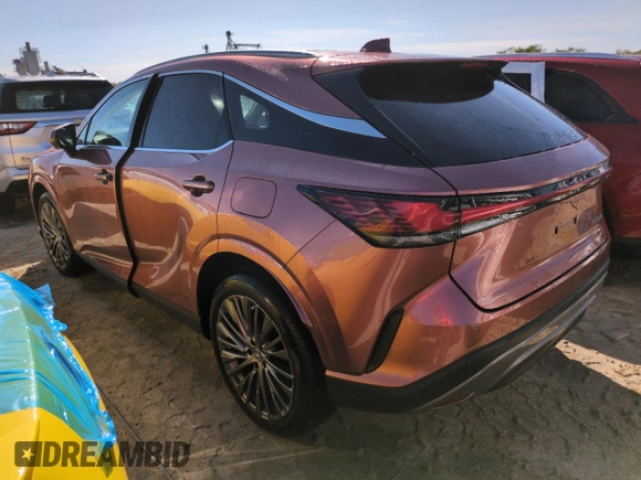 2023 Lexus RX with VIN 2T2BAMBA0PC006735, listed as a Copart auction lot 73767324 with Not Provided miles and Salvage Title. Bid and sale history available at carsss.com. Image 2.
