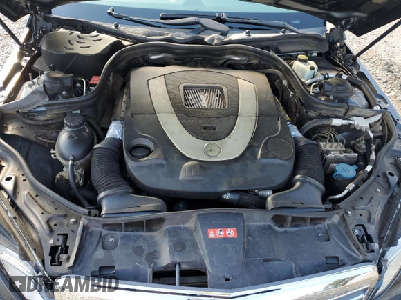 2010 Mercedes-Benz E 550 Luxury with VIN WDDHF7CB4AA213798, listed as a Copart auction lot 81071164 with 287,072 mi miles and Salvage Title. Bid and sale history available at DreamBid. Image 11.