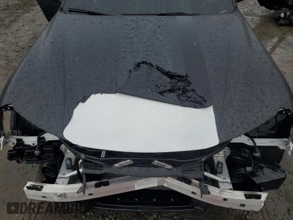 2019 Alfa Romeo Giulia z VIN ZARFAMAN4K7606393, wystawiony jako Copart lot #48740285 z przebiegiem 42 152 mil mil oraz Szkody całkowita. Historia ofert i sprzedaży dostępna na DreamBid. Obrazek 11.