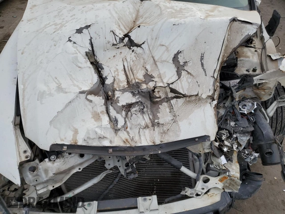 2005 Acura TL with VIN 19UUA66285A014533, listed as a Copart auction lot 84205114 with 0 mi miles and Salvage Title. Bid and sale history available at carsss.com. Image 11.