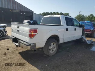 2013 Ford F-150 XL with VIN 1FTFW1CF3DFA68682, listed as a Copart auction lot 61295665 with 139,134 mi miles and Salvage title. Bid and sale history available at DreamBid. Image 3.