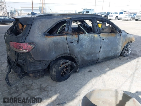 2018 Kia Sorento LX with VIN 5XYPG4A56JG404296, listed as a IAAI auction lot 41925185 with Not Provided miles and . Bid and sale history available at DreamBid. Image 4.