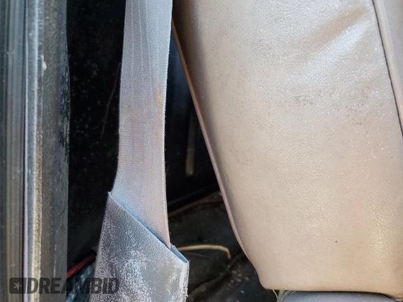 1994 Ford F-150 with VIN 1FTEF14N3RNA36989, listed as a Copart auction lot 80760184 with Not provided miles and Salvage title. Bid and sale history available at DreamBid. Image 10.