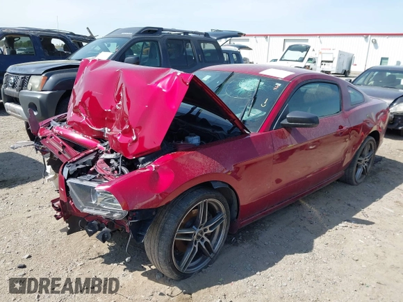 2014 Ford Mustang V6 с VIN 1ZVBP8AM8E5305838, выставлен на аукционе IAAI как лот 41923695 с пробегом 119 831 миль миль и . История ставок и продаж доступна на DreamBid. Изображение 17.