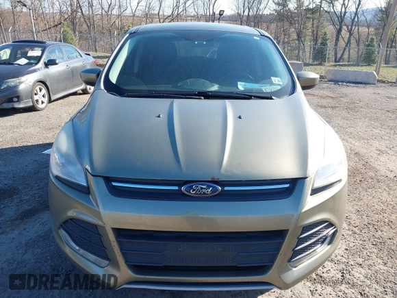 2013 Ford Escape SE with VIN 1FMCU0GX1DUA41932, listed as a IAAI auction lot 41896200 with 190,545 mi miles. Bid and sale history available at carsss.com. Image 6.