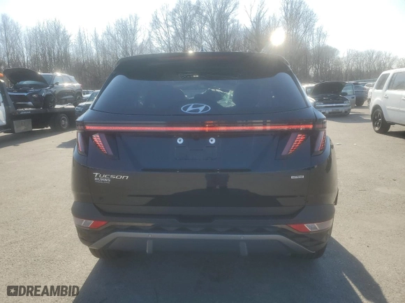 2024 Hyundai Tucson Limited with VIN 5NMJECDE5RH321400, listed as a Copart auction lot 48856415 with 8,792 mi miles and Salvage Title. Bid and sale history available at carsss.com. Image 6.