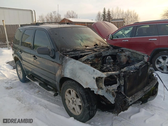 2005 Ford Escape XLT with VIN 1FMYU93165KC92924, listed as a Copart auction lot 46076435 with 0 mi miles and Salvage Title. Bid and sale history available at carsss.com. Image 4.