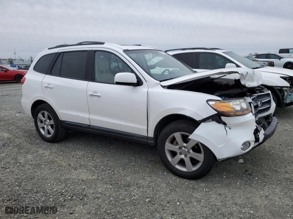 2009 Hyundai Santa Fe SE with VIN 5NMSH13EX9H252785, listed as a Copart auction lot 44768815 with 128,221 mi miles and Salvage Title. Bid and sale history available at carsss.com. Image 4.
