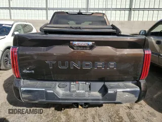 2024 Toyota Tundra 1794 Edition with VIN 5TFMA5DBXRX188084, listed as a Copart auction lot 49468325 with 34,373 mi miles and Salvage title. Bid and sale history available at DreamBid. Image 6.