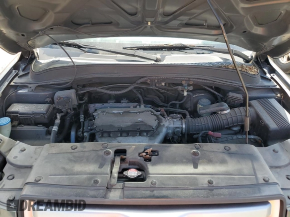2006 Honda Pilot EX-L with VIN 5FNYF28526B022878, listed as a Copart auction lot 51138665 with 226,519 mi miles and Clean Title. Bid and sale history available at DreamBid. Image 12.