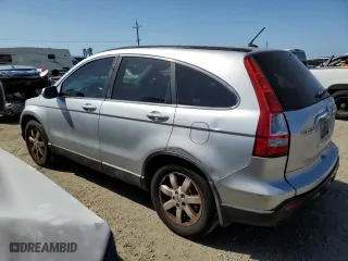 2009 Honda CR-V EX-L with VIN 5J6RE38769L012901, listed as a Copart auction lot 53925965 with 203,144 mi miles and Clean Title. Bid and sale history available at carsss.com. Image 2.