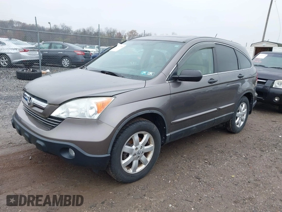 2009 Honda CR-V EX with VIN 5J6RE485X9L036252, listed as a IAAI auction lot 42017954 with 216,225 mi miles. Bid and sale history available at carsss.com. Image 2.