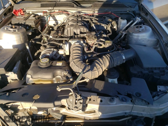 2009 Ford Mustang with VIN 1ZVHT80N795122341, listed as a Copart auction lot 80697973 with 123,219 mi miles and Salvage title. Bid and sale history available at DreamBid. Image 12.