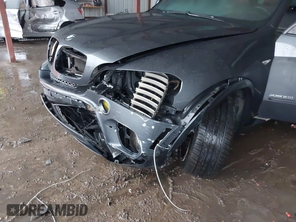2011 BMW X5 50i with VIN 5UXZV8C59BL419527, listed as a IAAI auction lot 42173425 with 185,802 mi miles and . Bid and sale history available at DreamBid. Image 6.