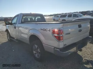 2013 Ford F-150 XL with VIN 1FTNF1EF0DKG19621, listed as a Copart auction lot 46440935 with 202,828 mi miles and Salvage Title. Bid and sale history available at carsss.com. Image 2.
