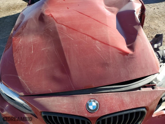 2017 BMW 2 Series 230i with VIN WBA2F9C31HV635922, listed as a Copart auction lot 46371695 with 45,947 mi miles and Salvage Title. Bid and sale history available at carsss.com. Image 12.