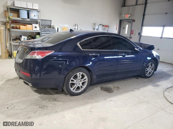 2009 Acura TL Tech with VIN 19UUA86589A009599, listed as a Copart auction lot 42034945 with 205,826 mi miles and Salvage Title. Bid and sale history available at carsss.com. Image 3.