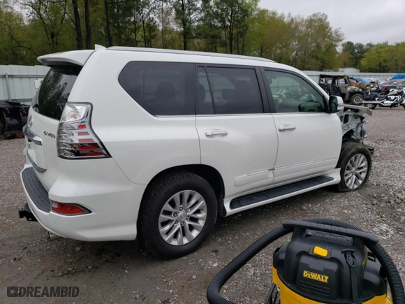 2019 Lexus GX with VIN JTJBM7FX8K5229877, listed as a Copart auction lot 46155113 with 30,493 mi miles. Bid and sale history available at carsss.com. Image 3.