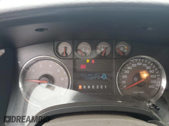 2010 Ford F-150 XL with VIN 1FTEX1C82AFA13498, listed as a Copart auction lot 59487255 with 125,410 mi miles and Salvage title. Bid and sale history available at DreamBid. Image 9.