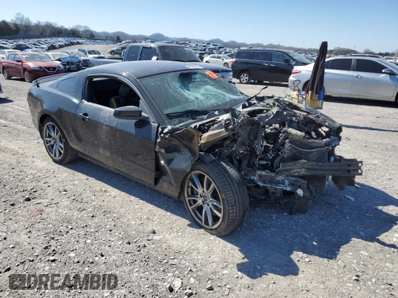 2013 Ford Mustang GT with VIN 1ZVBP8CF6D5248746, listed as a Copart auction lot 49592435 with Not Provided miles and Salvage Title. Bid and sale history available at carsss.com. Image 4.